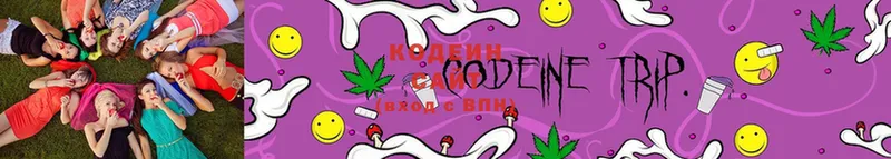 Кодеиновый сироп Lean Purple Drank  blacksprut маркетплейс  Балтийск 